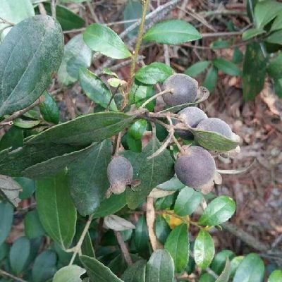 dq0851813088514's profile picture. 