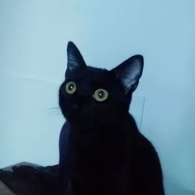 Choparineさんのプロフィール画像