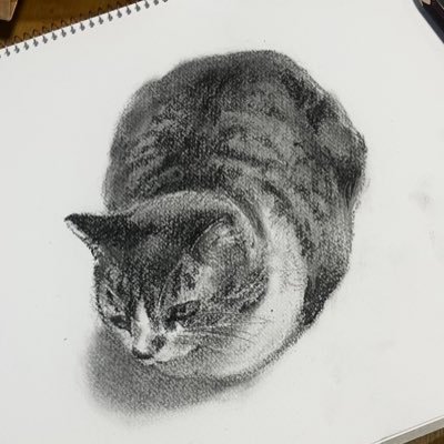 さつきさんのプロフィール画像