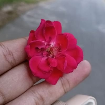 assisahib40072's profile picture. follow back 100 %
if you follow me i will follow back