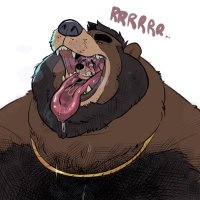 Barabear (@barabeardad) Twitter profile photo
