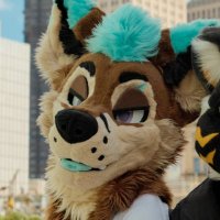 Fed๐i dunno (@feddichfoxx) 's Twitter Profile