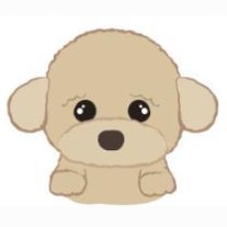 fuyu75328880123's profile picture. ウクライナ情勢、海外サッカー日本人選手、観る将、可愛い動物たちがテーマです。