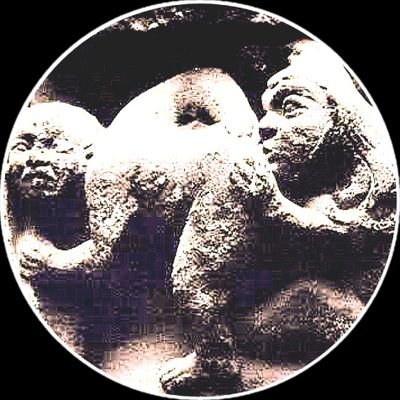 selinhogrego's profile picture. ENTENDI ..... É FODA !