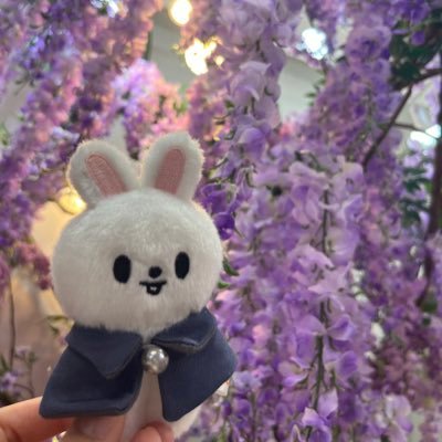 M i sa✿さんのプロフィール画像