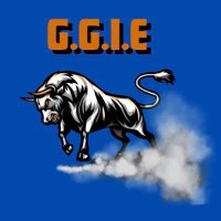 Go Get It Elite Athletics (@gogetitelite) 's Twitter Profile