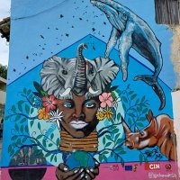 Dube M (@dubebiko) 's Twitter Profile