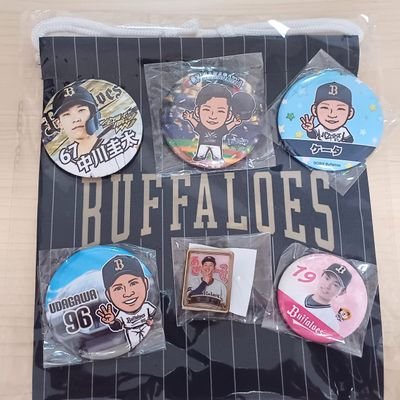 reina_na26's profile picture. 推しのチームは違うけど父🐯と娘🐮は野球好き/時々(セ・パ両方)現地観戦/2025年も⚾⚾

#野球好きな人と繋がりたい🍀