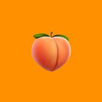 Thicc White Girls โ ๏ธ๐ฅ (@thiccwhitegirls) 's Twitter Profile