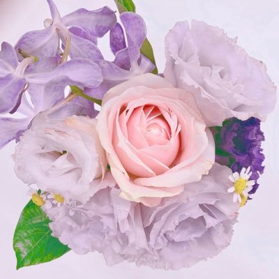 O.NL 🇦🇺さんのプロフィール画像