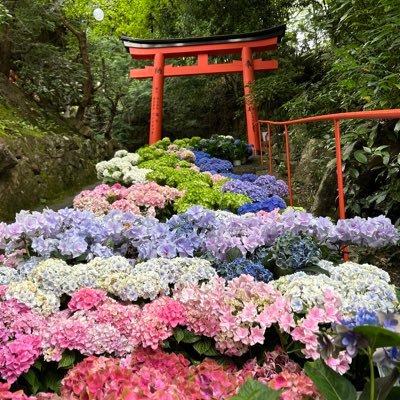 JACK_DA97's profile picture. ダイヤモンドアート沼💎 DA用AI→@B_DULno  #ダイヤモンドアート好きな人と繋がりたい #ダイヤモンドアート #Diamondpainting クロスステッチも好き🪡編み物も好き🧶 関西人 ホラー ゲーム も好き👻