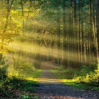 gcoston3's profile picture. all views and opinions are my own