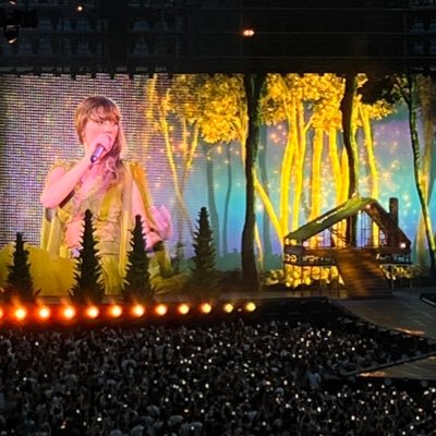 cri45699696's profile picture. 2011- always🖤   The Eras tour Dublin N3-Milan N2