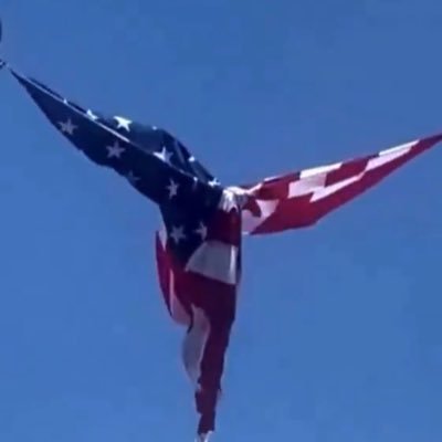 richlagom's profile picture. Gem hunter, Gamer and NFTs collector