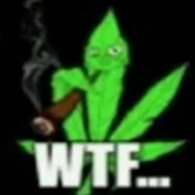 amarofunkeamaro's profile picture. hola