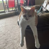 billy willy (@toddwoo10051431) 's Twitter Profile