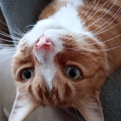 KatjaKainz's profile picture. 