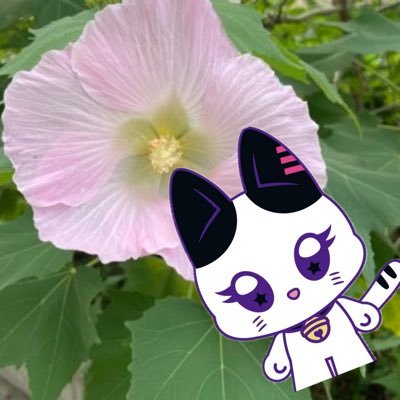 you_me_kasumi's profile picture. 日プ垢改め、ME:I専用垢になりました。桃奈大好き♡ #ME_I