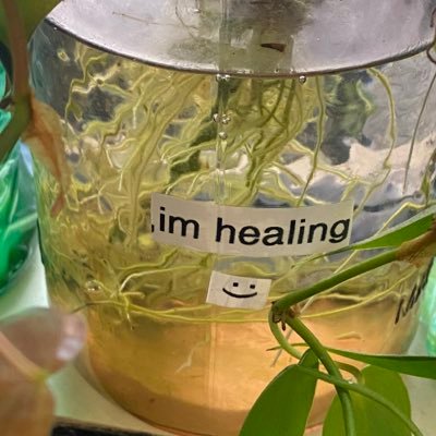 plants_and_bees's profile picture. baby game dev & composer. also a fan of plants