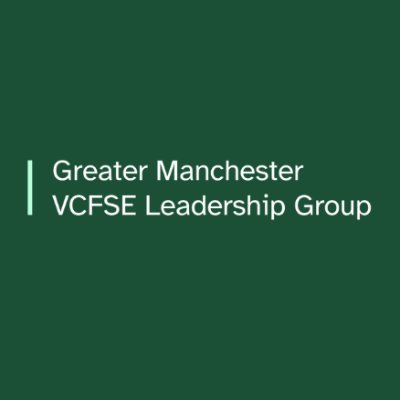 GM VCFSE Leadership Group Profile