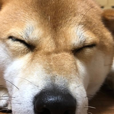 uuuuuu_26's profile picture. 就活生です！ENFP ！