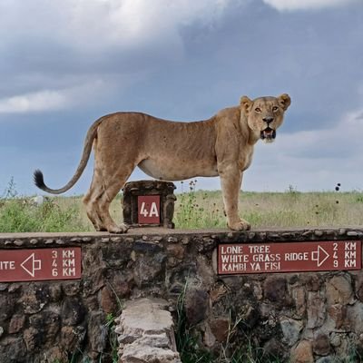 NNP_COMM_GUIDES's profile picture. 