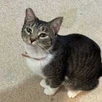 Mr. (@itsjust_mr) 's Twitter Profile