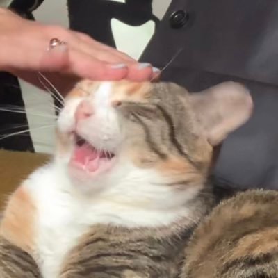 albertaplucker's profile picture. Plucker of Guitar Strings