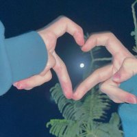 🥵S H 3 O L (@nst1186554) 's Twitter Profile