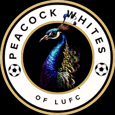 peacock_whites's profile picture. this the x page for my leeds YouTube channel link below pop over and give the YouTube channel a view and subscribe