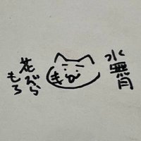 うめぎく (@umegiku10) 's Twitter Profile