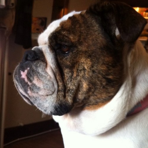 sarajudy1's profile picture. 