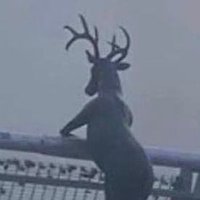 판따 (@plli070) 's Twitter Profile Photo 판따 (@plli070) 's Twitter Profile Photo