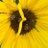 Lorraine Berry deactivated account