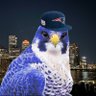 FalconShok's profile picture. He’s got the Patriots 5-1, and you can’t name a single receiver he’s got