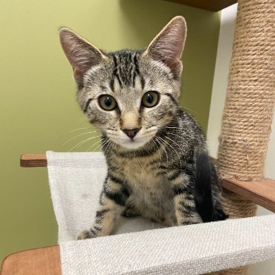 wcgapmworkz's profile picture. 