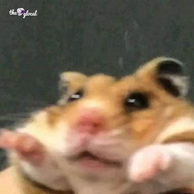 وماله يخويا مش عيب