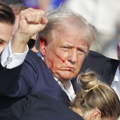 DeborahTaylor01's profile picture. The Queen of Appalachia,MAGA, TRUMP/VANCE!  world traveler, defender of HRH Queen Elizabeth, NO WOKE NO SUGARS !Travel feeds my soul. farm, horses, and dogs.