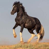 Fight for our democracy!!🇺🇸🌊 (@rileyscout1520) 's Twitter Profile Photo