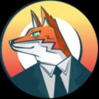 The Vigilant Fox 🦊 #MAGA (@vigilantfoxv) 's Twitter Profile