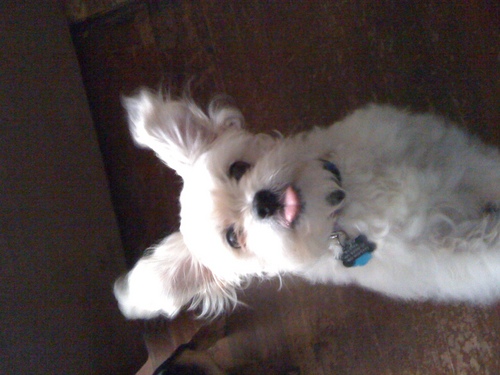 TraciLee935's profile picture. 