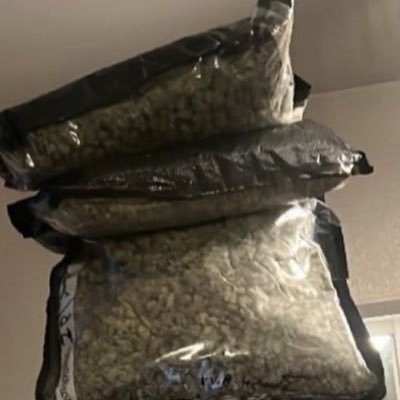 nastyfreakmelo's profile picture. 