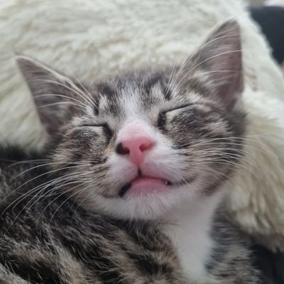 97Bskk's profile picture. 