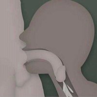 alfelix83 (@alfelix83) 's Twitter Profile