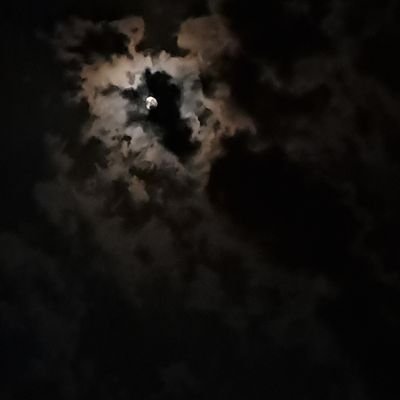 one_who_listen's profile picture. Daily practice of code until I get placed ✨️

Current Goals 
🎯 Daily practice SDE sheet 
🎯 Solve 2 Codeforces problems daily.
🎯 Refine my projects