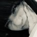 Mdiazzzzz (@miruuudiazzz) Twitter profile photo Mdiazzzzz (@miruuudiazzz) Twitter profile photo