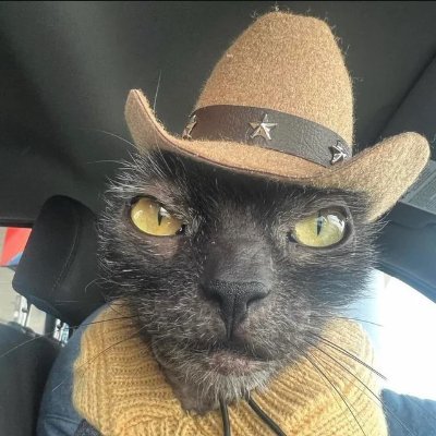 shr6mp's profile picture. 🎀 5♥21♥22🎀 F/A