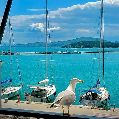 ZMantsios's profile picture. Mediterranean life -real lives-reality.
Hold more than 10 Marine Nft you have -10% in our Airbnb apartments. Hold 20 you have -15%.New gifts, airdrops ...