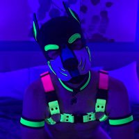 Pup Luxx 🔜 Atlanta 4/18-4/20 (@pupluxx) 's Twitter Profile