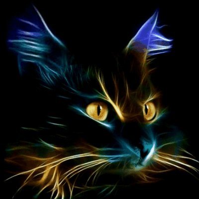 MsT3622's profile picture. John 3:16: For God so loved the world that he gave his one and only Son, that whoever believes in him shall not perish but have eternal life.